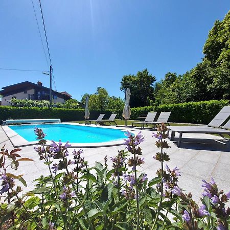 Sežana Guesthouse Pri Mihelovih المظهر الخارجي الصورة