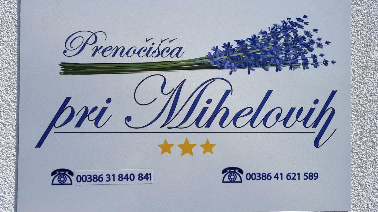Sežana Guesthouse Pri Mihelovih المظهر الخارجي الصورة